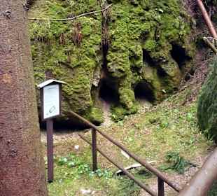 Stolleneingang am Bergbaulehrpfad Eibenstock