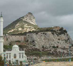 Affenfelsen (The rock) mit Mosche