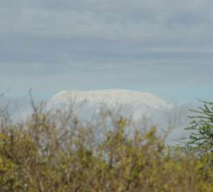 Blick auf den Kilimanjaro