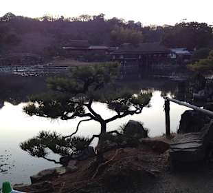 Hikone castle and surrounding garden