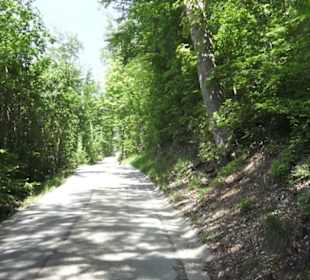 Burgruine Hohenrechberg