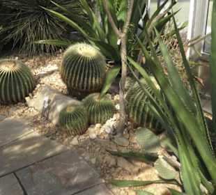 Botanischer Garten