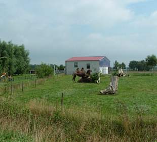 Freizeitpark