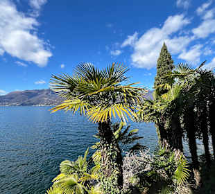 Wandern Maccagno con Pino e Veddasca