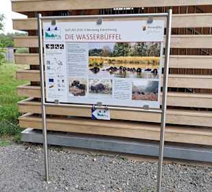 Kranichwoog Aussichtspunkt