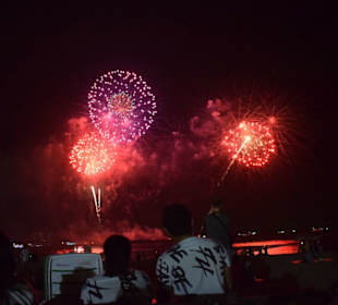 Schönes und farbenprächtiges Feuerwerk