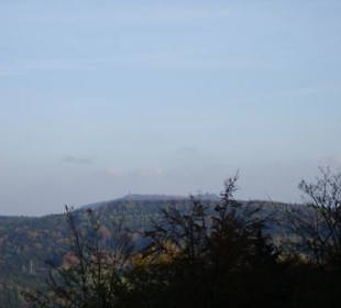 Blick zum Hochwald