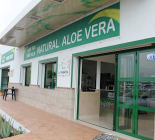 Aloe Vera Infocenter Lanzarote - Yaiza