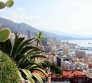 Jardin dÉxotique - Monaco
