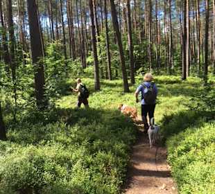 Wandern Zwenzow