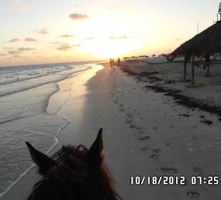 Sonnenaufgang am Meer zu Pferd - traumhaft!