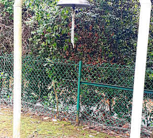 Danish Seamen’s Kirche