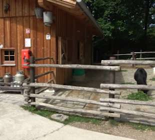 Tierpark Hellabrunn - Afrika