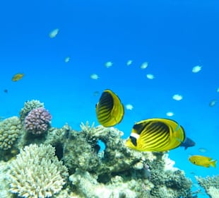 Einfach nur traumhaft