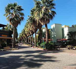 Stadtrundgang Colakli