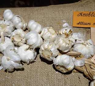 Rundgang durch das Deutsche Gewürzmuseum Kulmbach