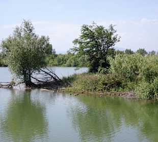 Das Ökoreservat am Lac de Villeneuve-de-la-Raho