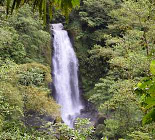 Ausflug in den Regenwad