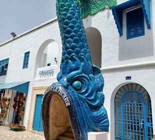 Medina Hammamet-Yasmine