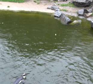 Tierpark