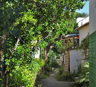 Der Charme der Strandhäuser von Le Racou