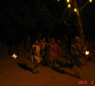 Krüger Nationalpark