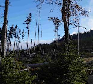 Riesengebirge/Karkonosze