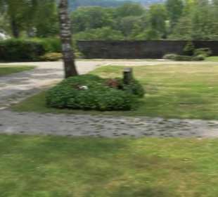 Friedhof Dußlingen
