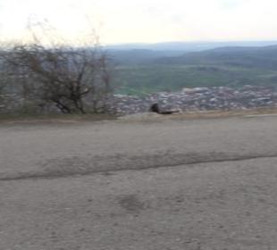 Teckberg