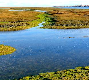 Ilha de Faro (Peninsula de Ancão)