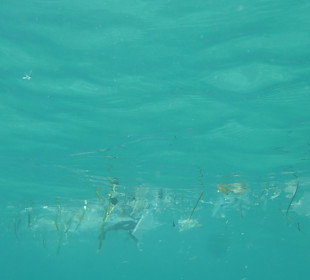 Südwestküste Mallorca