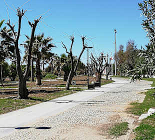 Strandpromenade Evrenseki