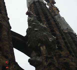 Sagradia Familie Barcelona