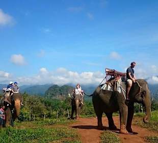 Elefantentrekking mit Tom ist super