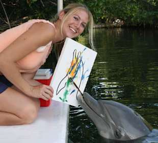 Malen mit einem Delphin