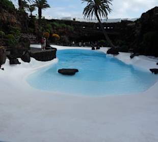  Jameos del Agua Cesar Manrique