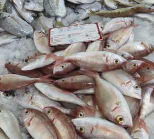 In der Abteilung für Fische und Meeresfrüchte