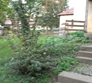 Geistliches Zentrum Kloster Heiligkreuztal Altheim