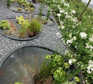 Wasser als Bereicherung