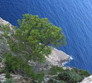 Ein Bllick in die Tiefe