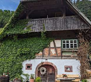 Wandern Durbach