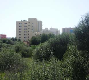 Ausflug in die nähere Umgebung mit dem Auto