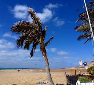 Bei Costa Calma / Windsurfing 