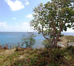 Blick von einem Aussichtspunkt auf das Meer