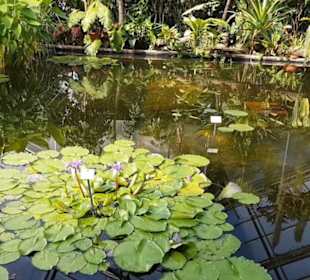 Botanischer Garten