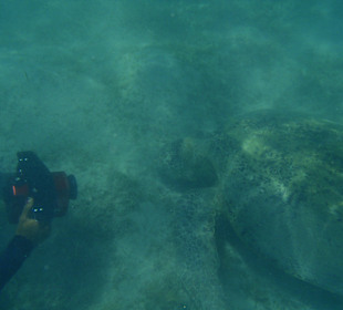 Proszę o uśmiech...