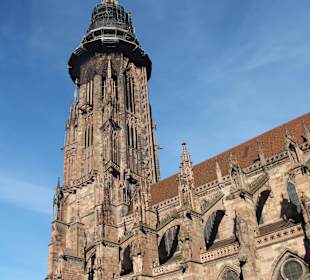 Freiburger Münster