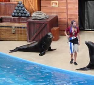 Sealion & Otterschow