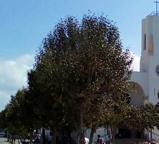 Kirche San San Fernando De Palma