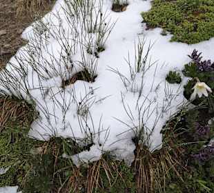 Wandern Heiligenblut